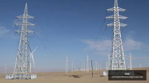 德篮甲信心回归：罗斯托克海狼对决哈根凤凰趋势解析